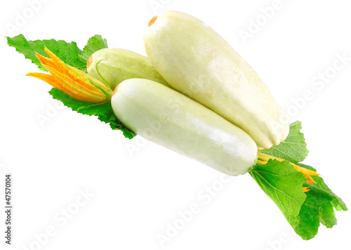 White vegetable marrow on white background.