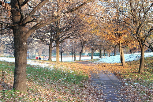 Prima neve sugli alberi d'autunno,parco comunale di Bollate