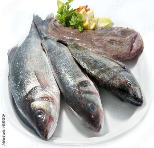 choice of fresh raw fish