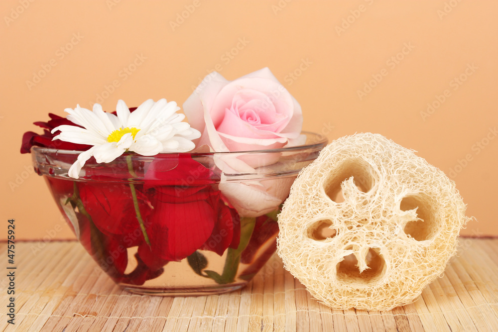 Loofah on color background
