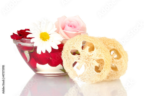 Obraz na płótnie Loofah isolated on white