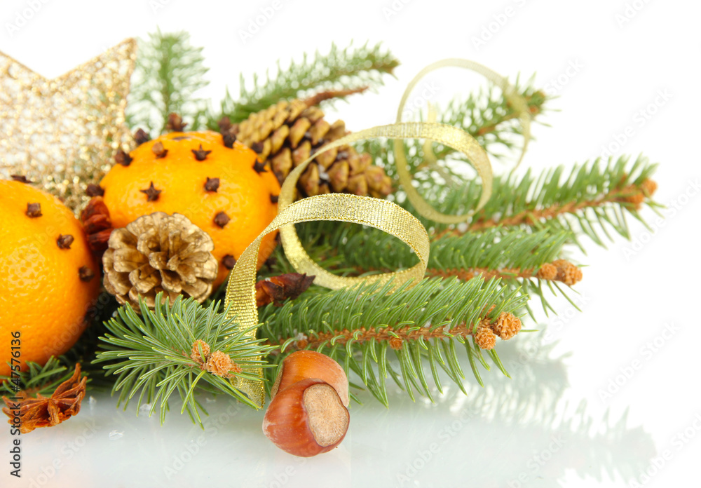 christmas composition with oranges and fir tree, isolated