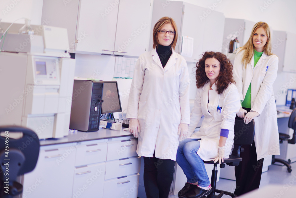 Naklejka premium scientists working at the laboratory