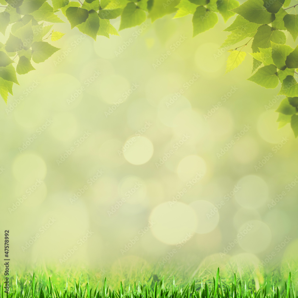 Abstract natural backgrounds with beauty bokeh for your design Abstract natural backgrounds with beauty bokeh for your design