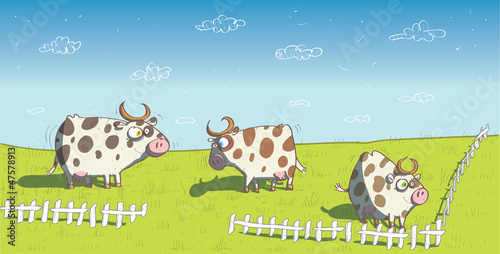 Happy Cows on Grassland