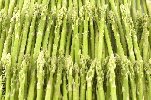 Green asparagus background