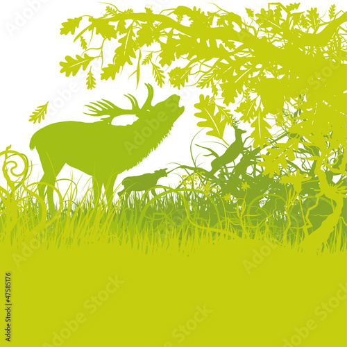 Hirsch im Wald
