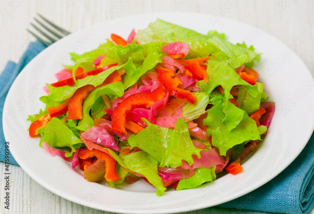 fresh vegetable salad fresh vegetable salad