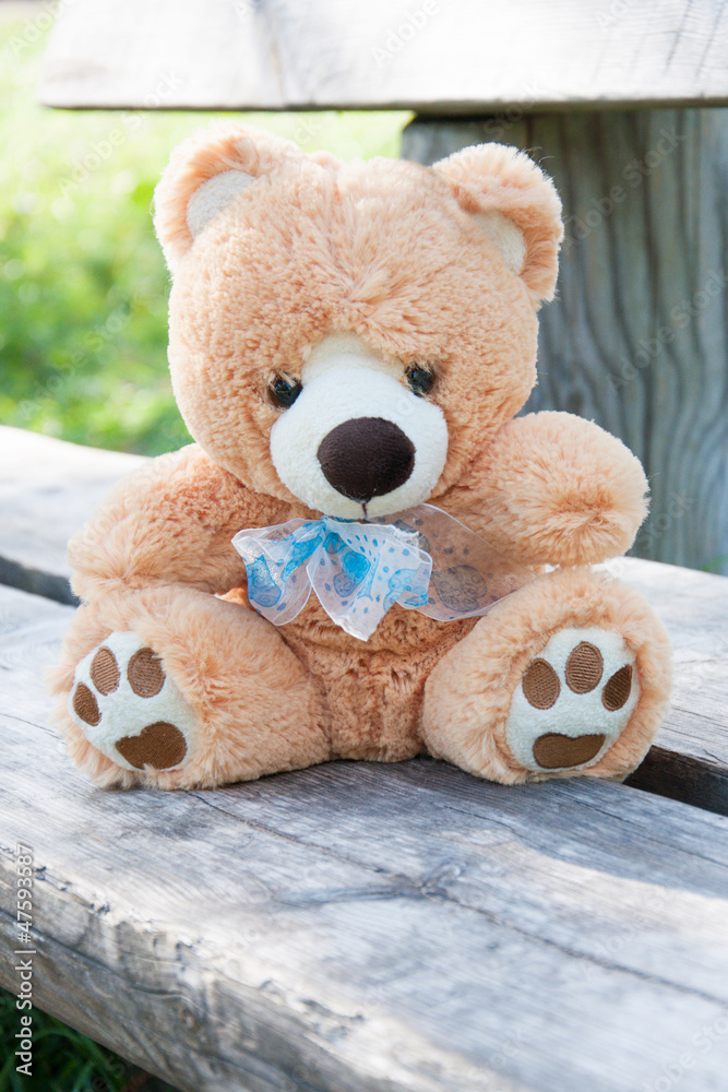 Obraz premium teddy bear on the bench