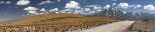 Laguna Altiplanica