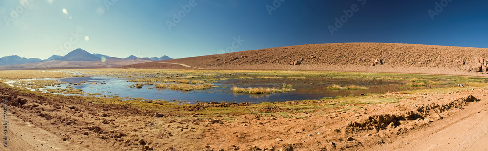 Laguna Altiplanica