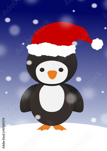 Penguin in Santa hat © darren whittingham