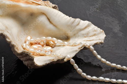 pearl jewels inside  oyster