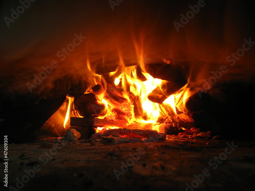 Fire wood burning in the furnace