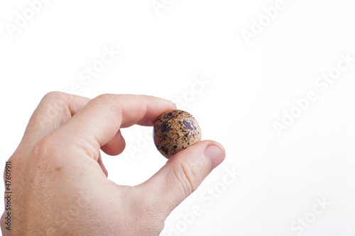 hand with egg