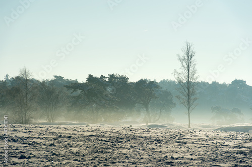 Snow landscape photo