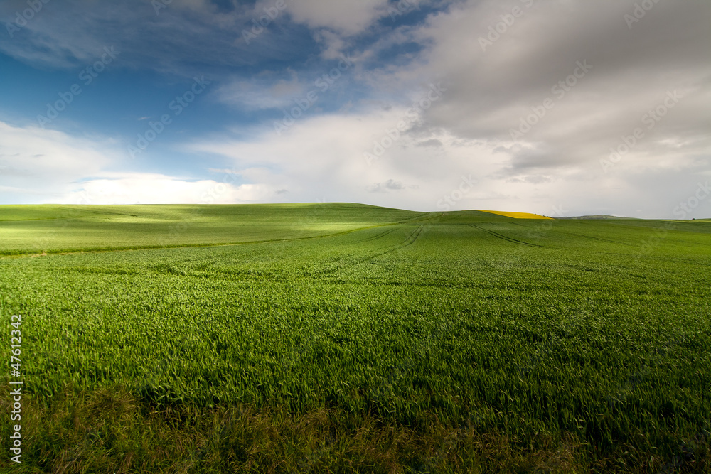 Green Field Green Field