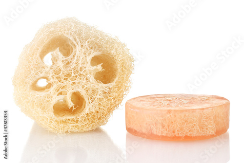 Obraz na płótnie Loofah isolated on white