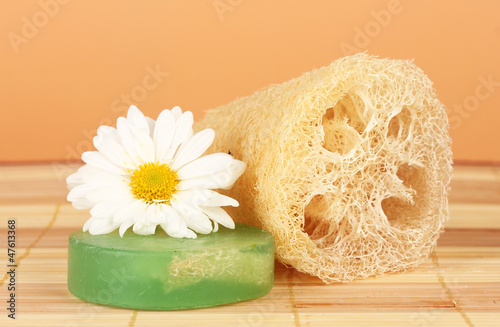 Obraz na płótnie Loofah on color background