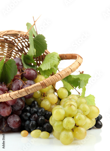 assortment of ripe sweet grapes in basket  isolated on white.