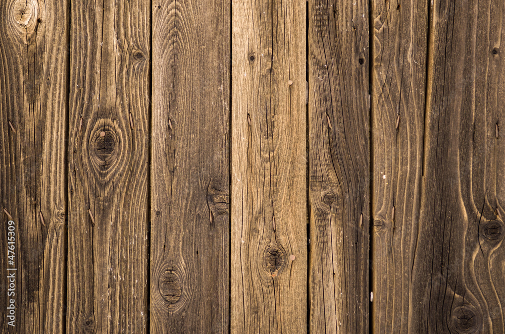 Fototapeta premium Wood pattern