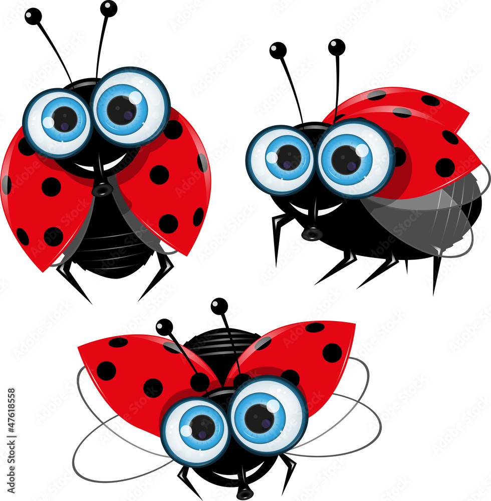 Obraz premium ladybirds