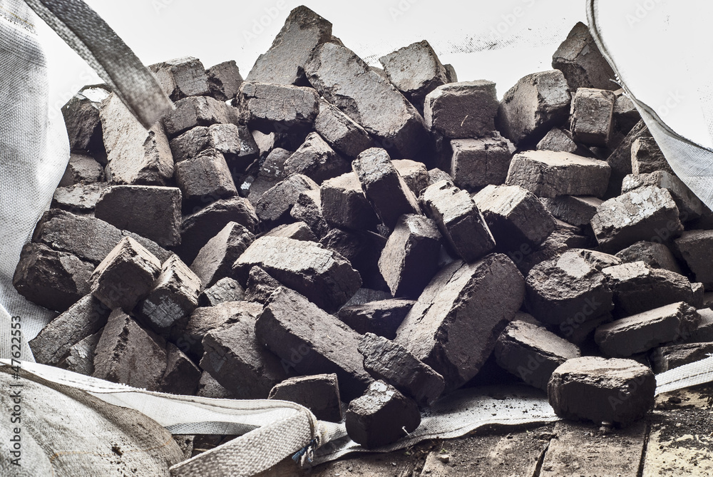Obraz premium peat briquettes background