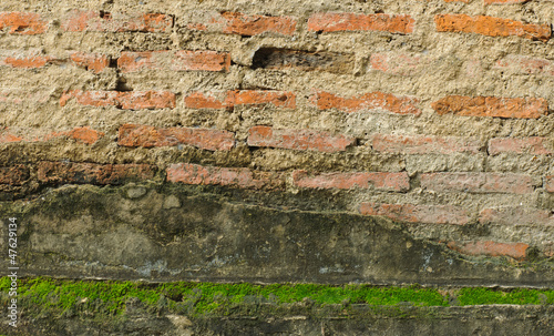 Old red brick wall with moss green