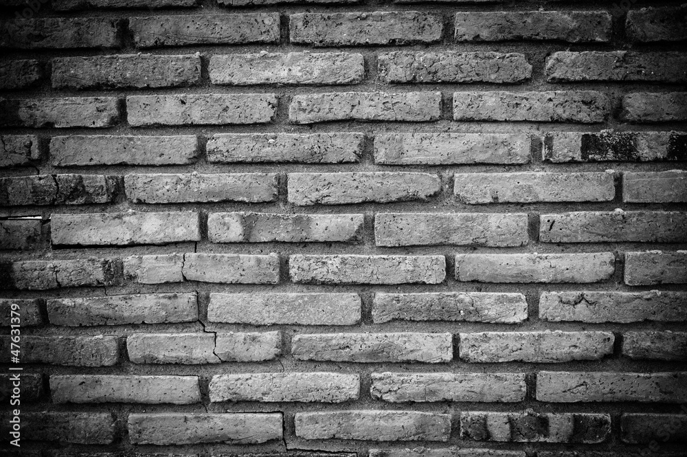 custom made wallpaper toronto digitalold wall