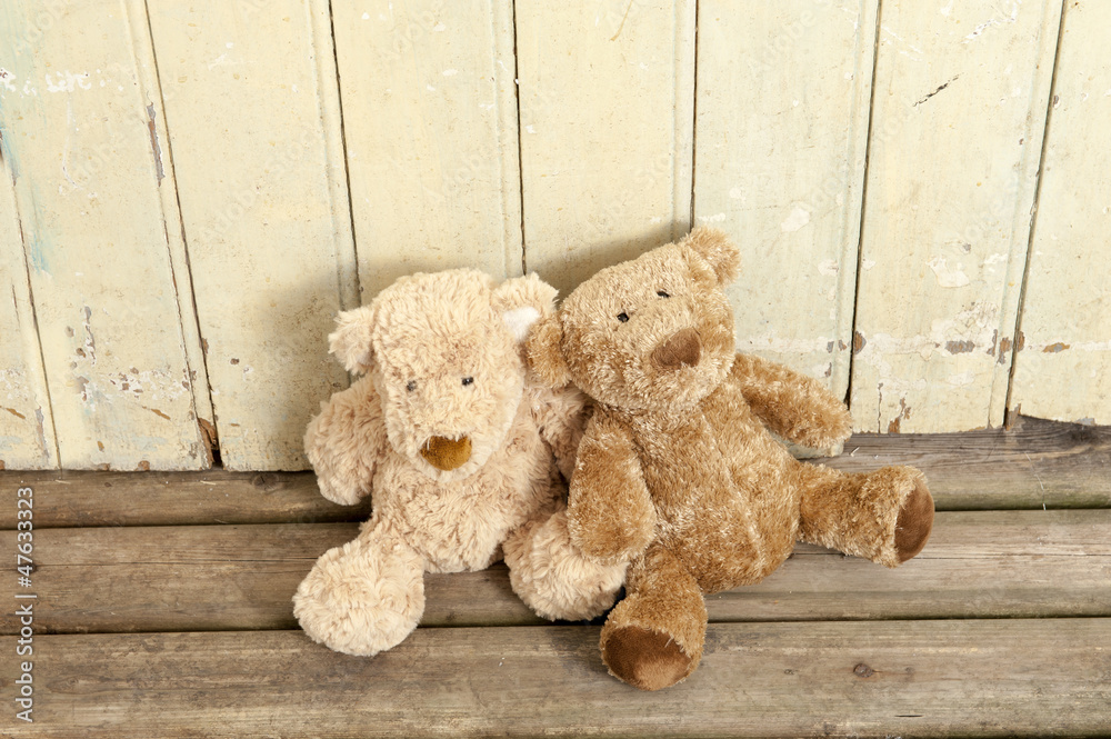 two teddybears on wood