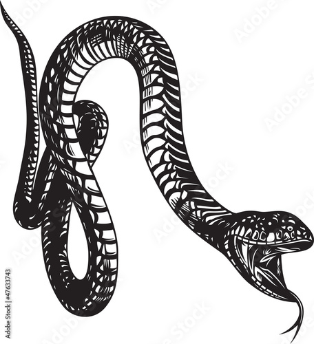 Big snake with open mouth, black and white style
