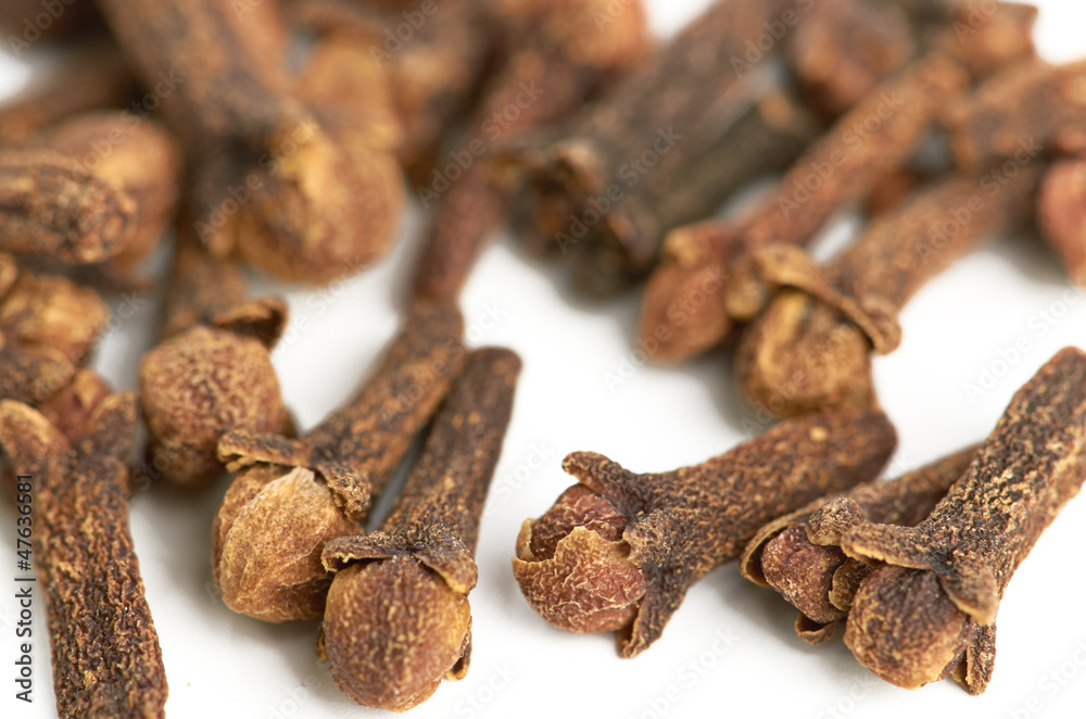 cloves against white background cloves against white background