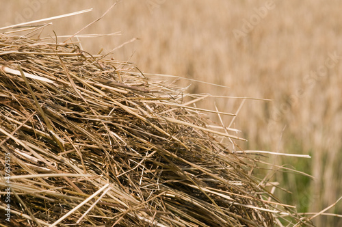 close up of hay roll