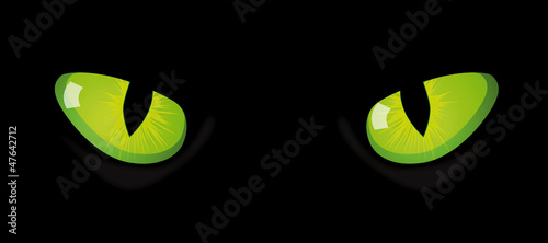 Eyes of cat on black background