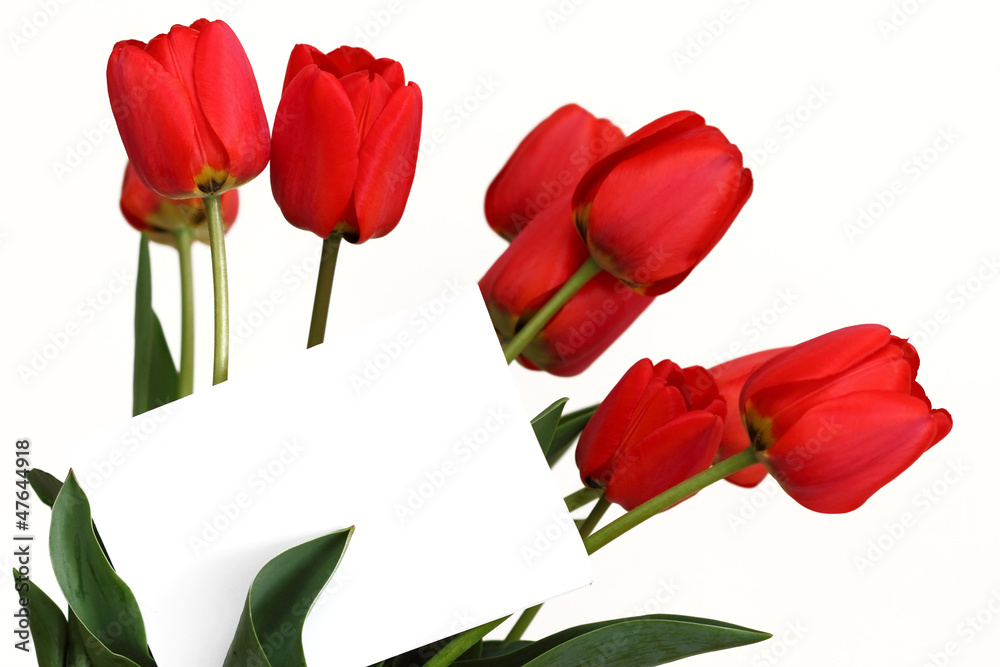 Red tulips with blank white card Red tulips with blank white card