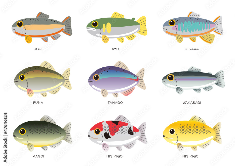 淡水魚 淡水魚