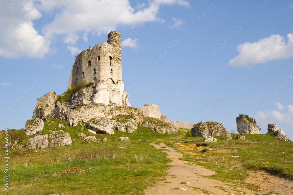 Ruins of medieval castle Mirow in Poland