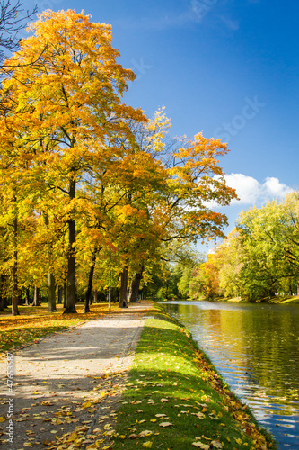 Yellow leaves with blue river in autumn park