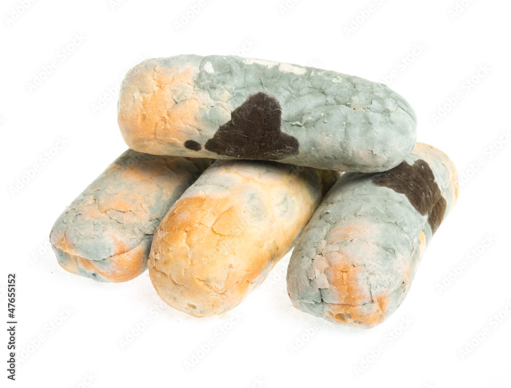 Old musty bread covered with green mold Old musty bread covered with green mold