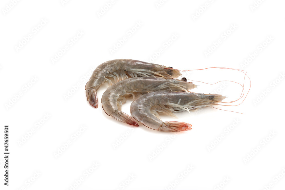 three raw shrimps three raw shrimps