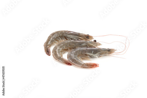 three raw shrimps