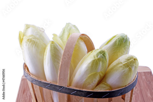 Des endives fraiches photo