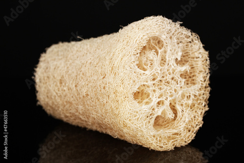 Obraz na płótnie Loofah isolated on black
