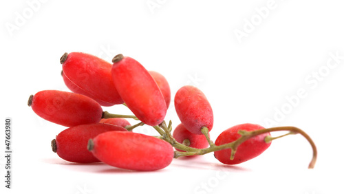 Photos ripe barberries on branch isolated white