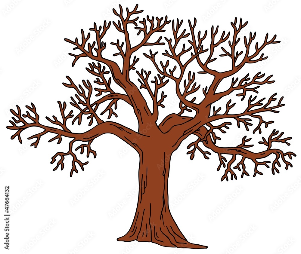 Fototapeta premium Tree without leaves