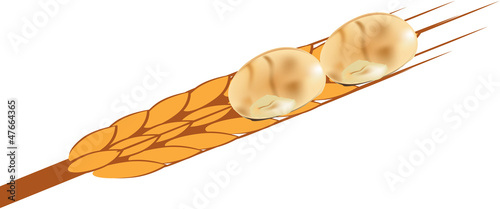 logo pane