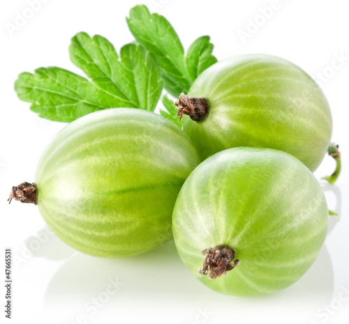 Gooseberries with leaves