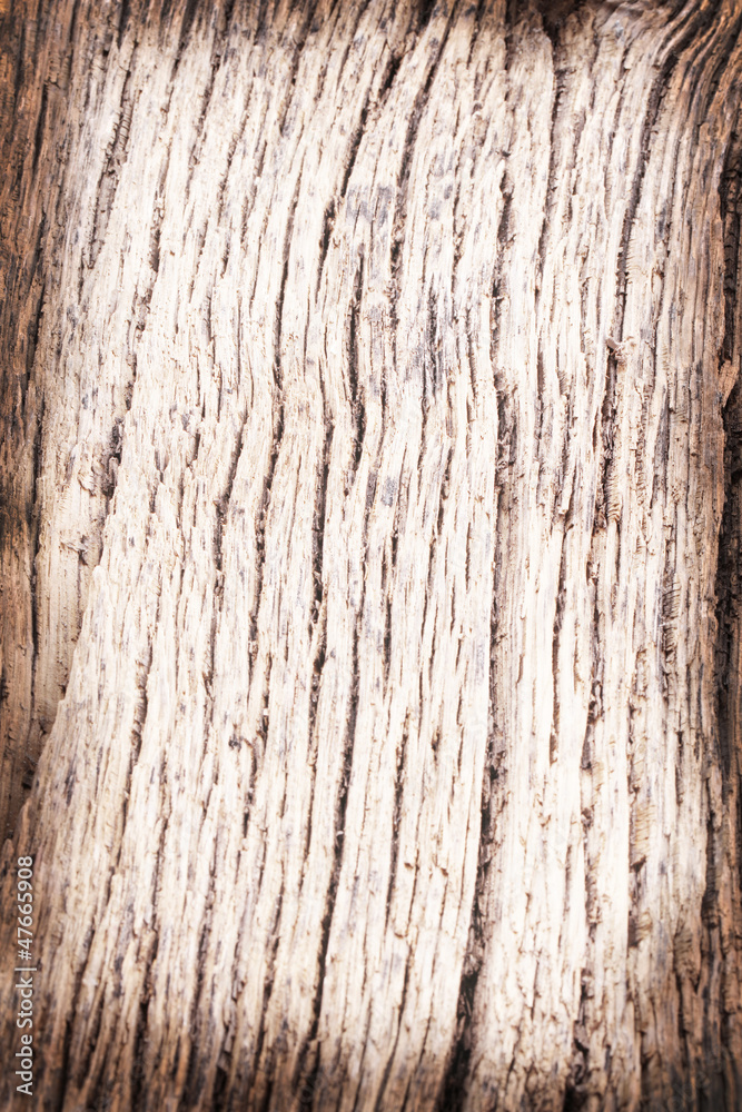 Obraz premium old wooden background