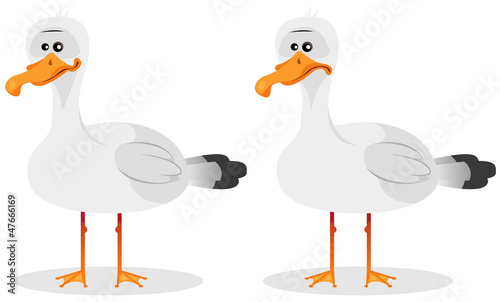 Funny Cute Seagull