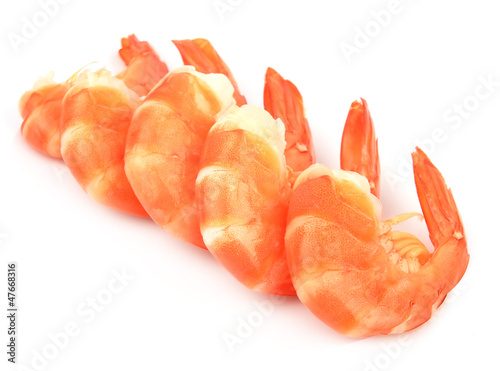 big shrimps